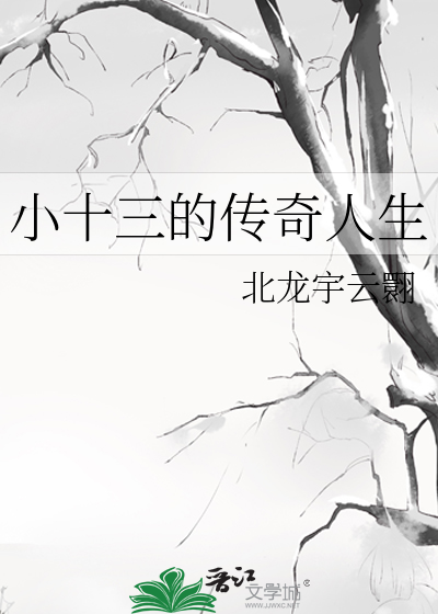 小十三的传奇人生