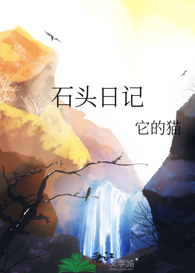 石头日记