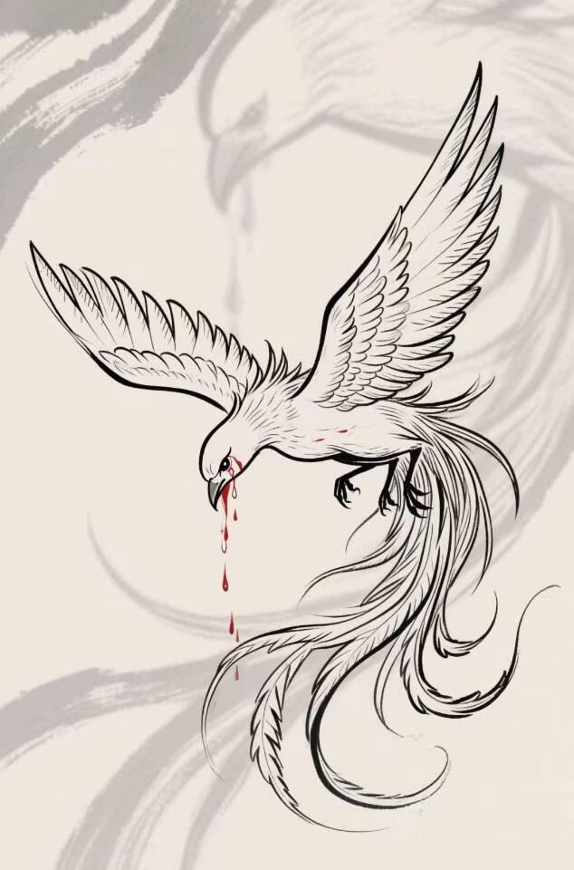 HP邓布利多  凤凰与梧桐