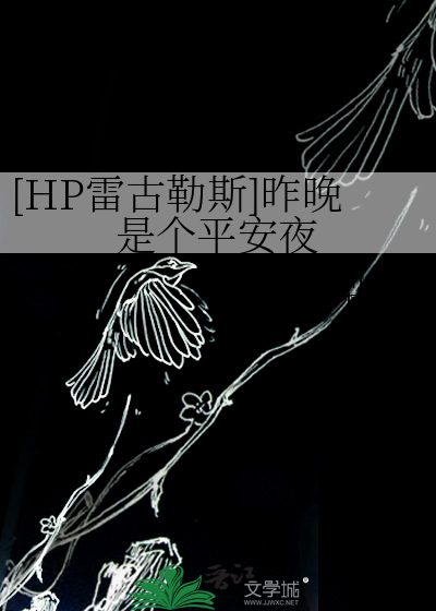 [HP雷古勒斯]昨晚是个平安夜