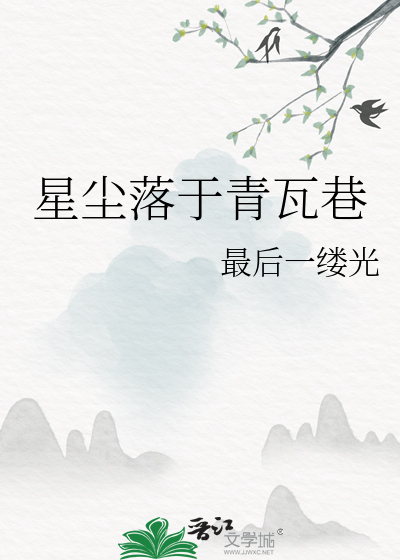 星尘落于青瓦巷